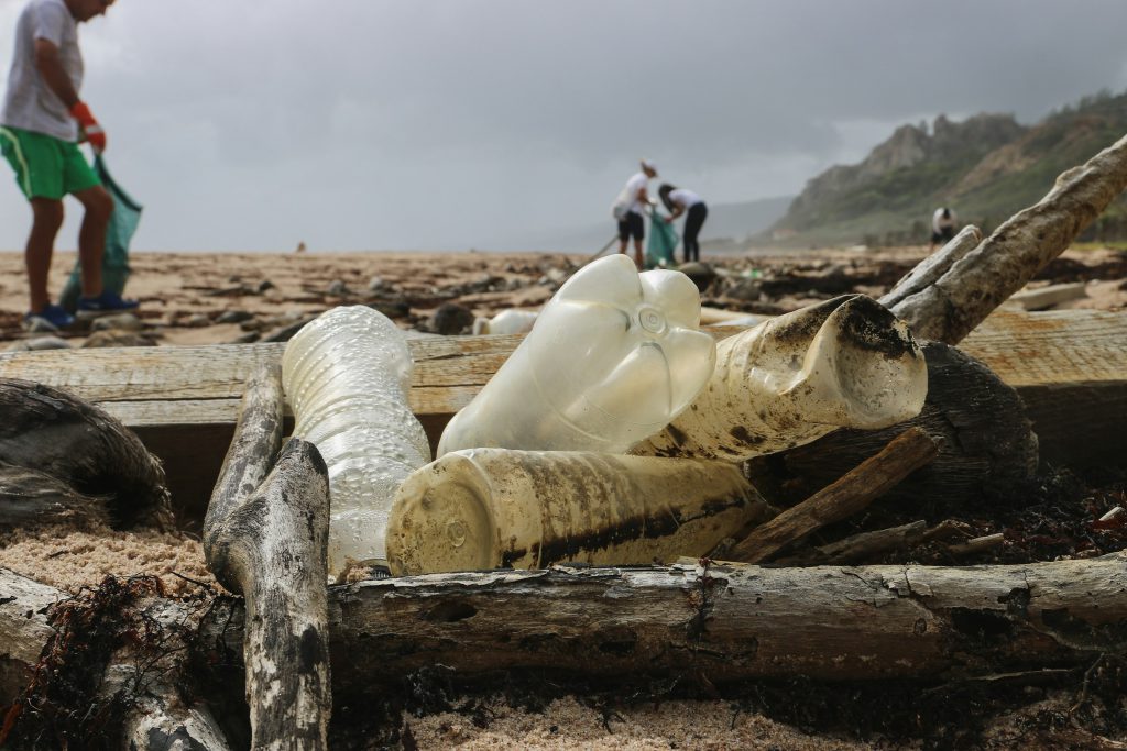 Plastic bottles washed up among driftwood on a shoreline