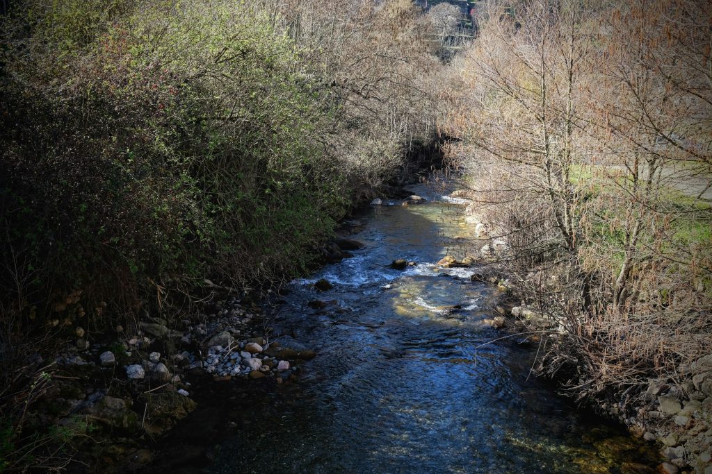 A shallow stream running between bare trees and rocky banks